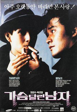 雏菊 爱情悬疑 花卉题材